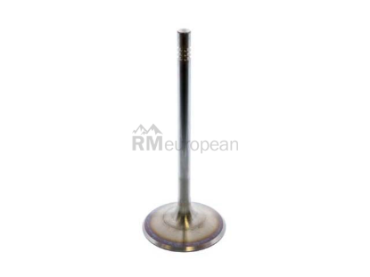 Porsche Intake Valve TRW 99610527102