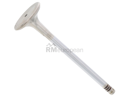 Mercedes Exhaust Valve TRW 2760500027