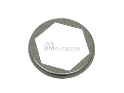 BMW Lock Plate ZF 23221201330