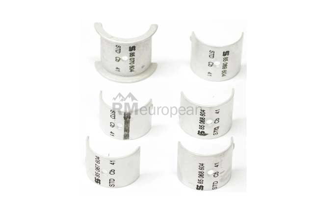 VW-Audi Camshaft Bearing Set Kolbenschmidt 111198541