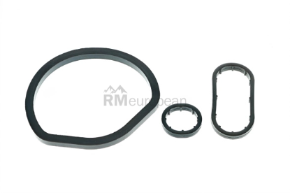Mercedes Seal Kit Meistersatz 221965010