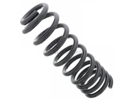 Mercedes Coil Spring Lesjofors 1643240204