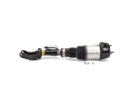 Mercedes Air Suspension Strut Arnott Industries 166320556680