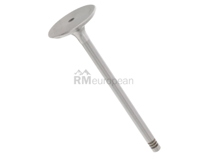 BMW Intake Valve TRW 11341739822