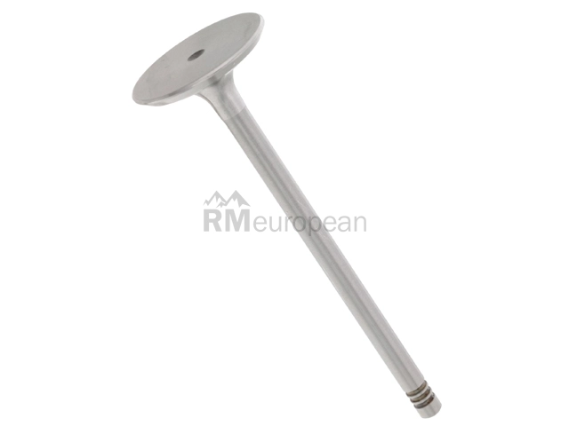 BMW Intake Valve TRW 11341739822