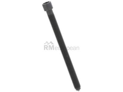 VW-Audi Cylinder Head Bolt Victor Reinz 078103385K