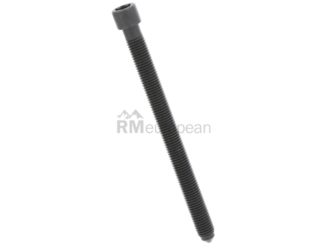 VW-Audi Cylinder Head Bolt Victor Reinz 078103385K