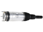 Land Rover Strut BWI LR087094