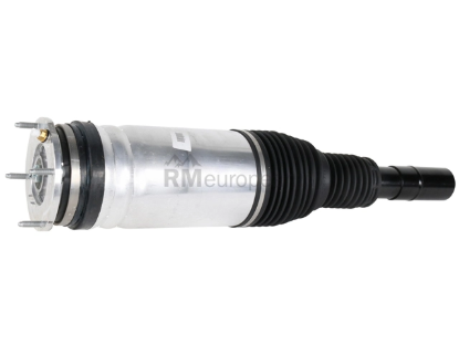 Land Rover Strut BWI LR087094