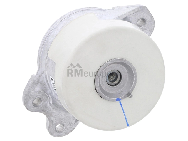 Mercedes Engine Mount O.E.M. 205240080028