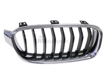 BMW Grille Genuine BMW 51137260498