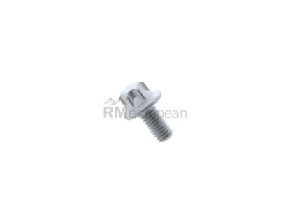 Porsche Camshaft Sprocket Bolt Genuine Porsche PAF008124