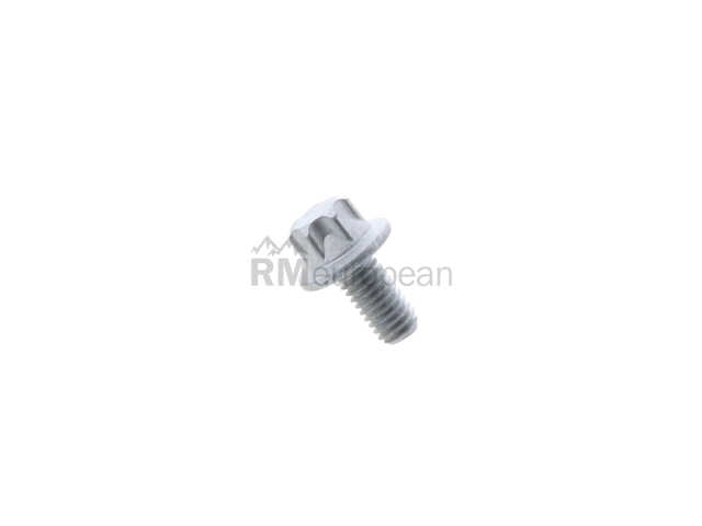 Porsche Camshaft Sprocket Bolt Genuine Porsche PAF008124