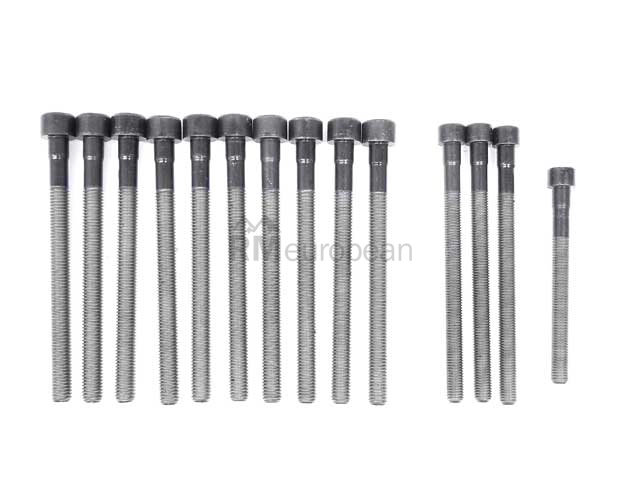 BMW Cylinder Head Bolt Set Victor Reinz 11127548799