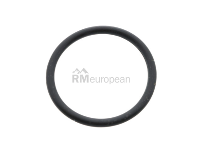 Volvo Water Pump O-Ring Ajusa 30622784