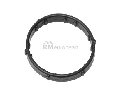 Land Rover Thermostat Gasket Eurospare 4413478
