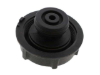 Volvo Expansion Tank Cap Eurospare 30680002