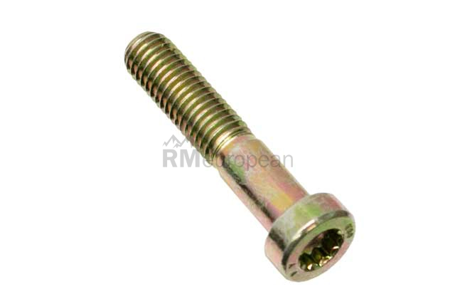 Porsche Bolt O.E.M. 99951001501