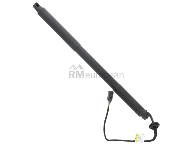 Volvo Hatch Shock Pro Parts 31479628