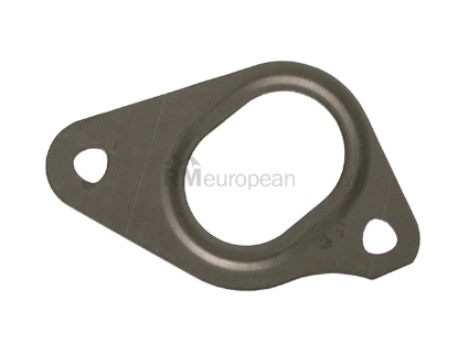 Jaguar Water Pump Gasket Eurospare AJ813609