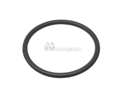 Thermostat O-Ring Victor Reinz 038121119B