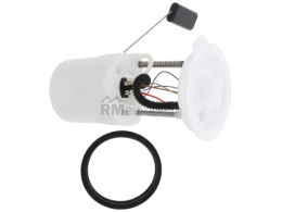 VW-Audi Fuel Pump Assembly Hella 1K0919051DA