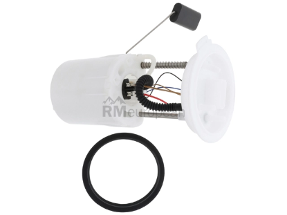 VW-Audi Fuel Pump Assembly Hella 1K0919051DA