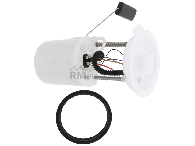 VW-Audi Fuel Pump Assembly Hella 1K0919051DA