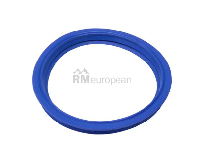 Seal Victor Reinz 16111184084