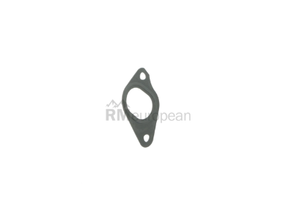 Water Pump Gasket Britpart LR049370BP