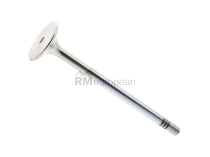 Dodge Exhaust Valve TRW 05175397AA
