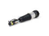 Mercedes Strut Arnott Industries 2213209313