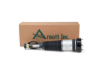 Mercedes Strut Arnott Industries 2213209313