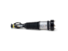 Mercedes Strut Arnott Industries 2213209313