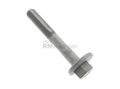 Porsche Eccentric Bolt Rein Automotive PAF001833