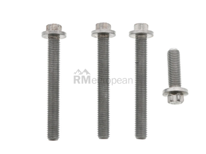 BMW Cylinder Head Bolt Set Rein Automotive 11120392547