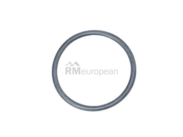VW-Audi Water Pump Gasket Victor Reinz 038121119