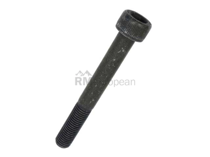 Porsche Brake Caliper Bolt Genuine Porsche 99906704001