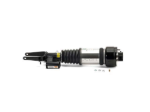 Mercedes Shock Absorber Arnott Industries 2113209613