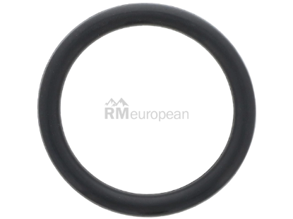 Jaguar Coolant Pipe O-Ring Britpart AJ813918