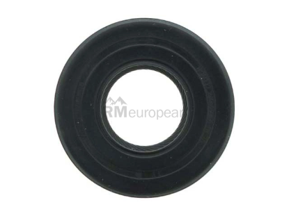 Mini Seal Getrag 23117549008