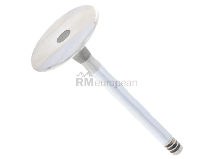 BMW Intake Valve TRW 11341254625