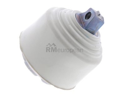 Mercedes Engine Mount O.E.M. 2212408117