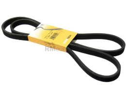 Volvo Belt 6DK X 1853 Continental 30731809