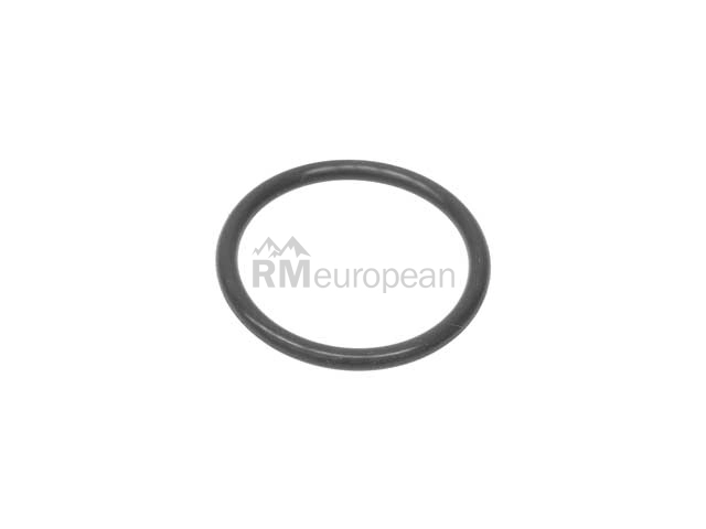 O-Ring Victor Reinz 407611820