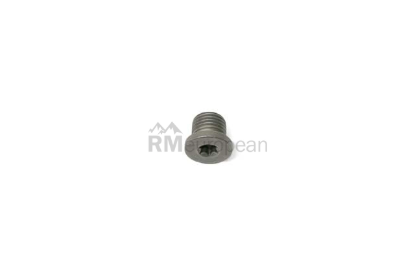 VW-Audi Engine Oil Drain Plug Rein Automotive N91167901