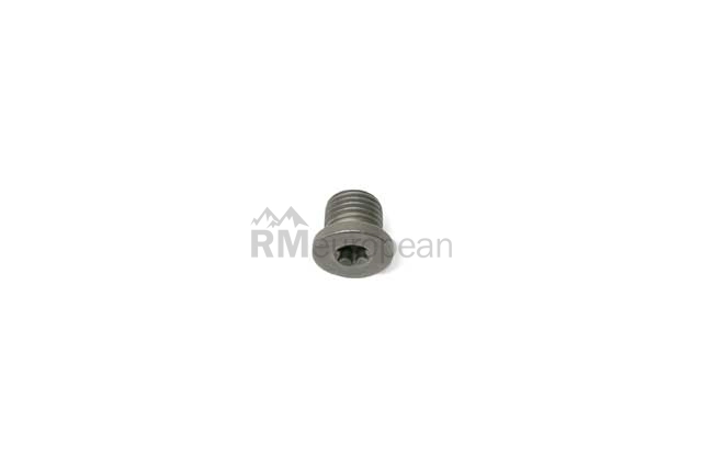 VW-Audi Engine Oil Drain Plug Rein Automotive N91167901