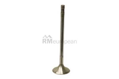 Mercedes Exhaust Valve TRW 2720500927
