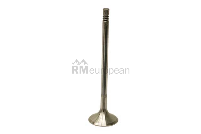 Mercedes Exhaust Valve TRW 2720500927