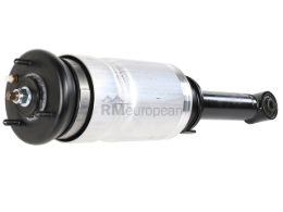 Land Rover Air Suspension Strut BWI LR016415